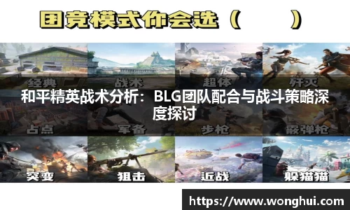 乐虎(乐玩)国际