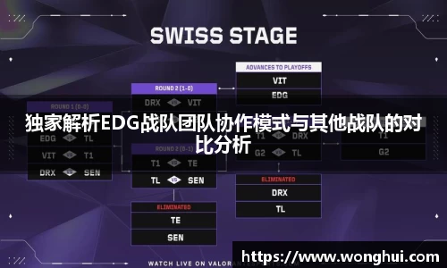 独家解析EDG战队团队协作模式与其他战队的对比分析
