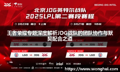 王者荣耀专题深度解析JDG战队的团队协作与默契配合之道